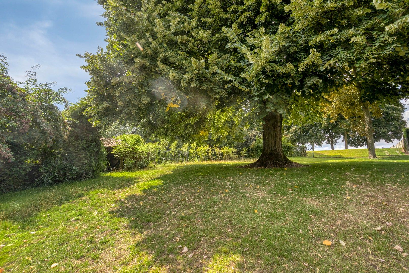 Ruime woning met handelsruimte en tuin in het rustige Vreren foto 30
