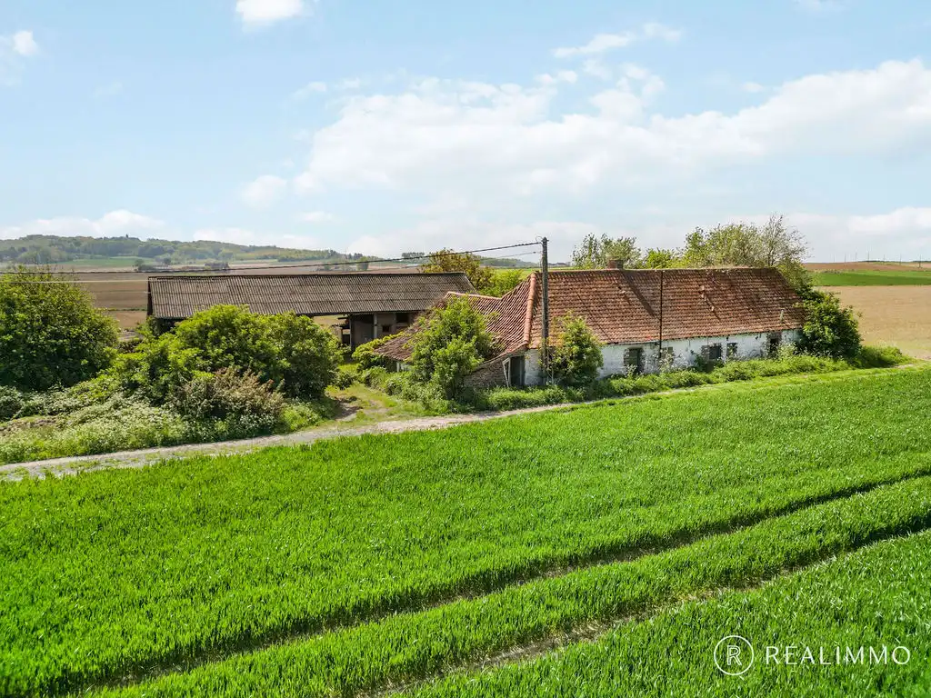 Uniek gelegen fermette met 360° uitzicht in Celles (Molenbaix), met bouwvergunning ! foto 4