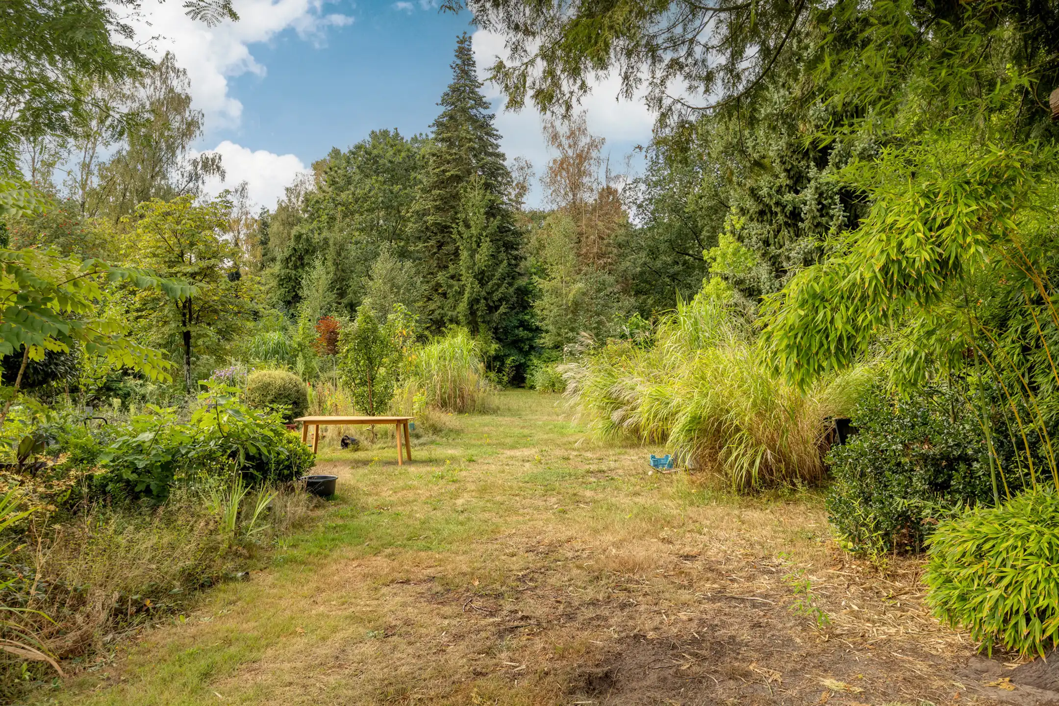 Karaktervolle woning op uitzonderlijk perceel  foto 19