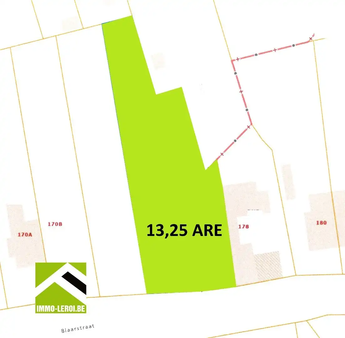 Grond te koop Blaarstraat 174 - - 3700 Tongeren-Borgloon