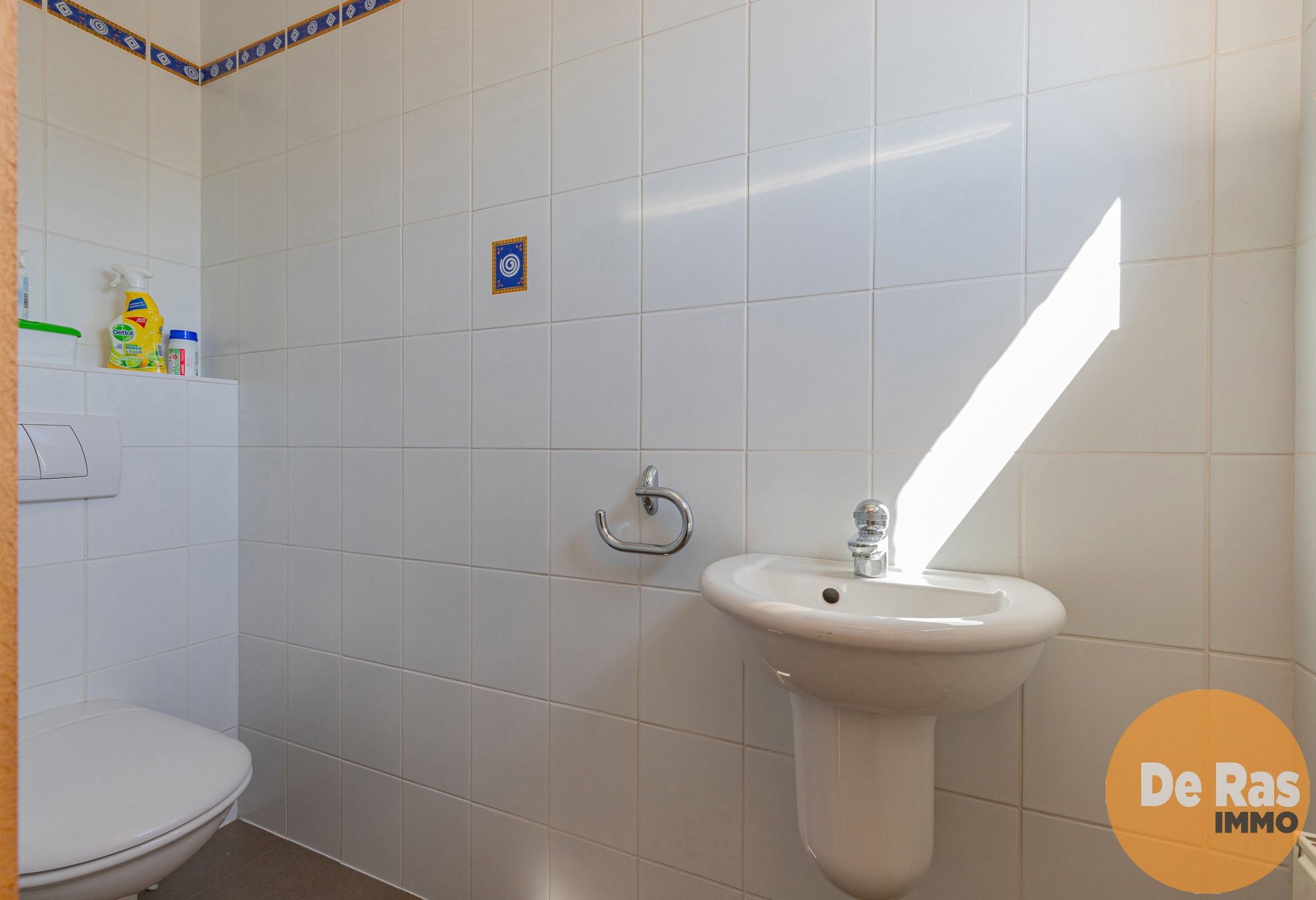 ERPE-MERE - Unieke eigendom met tal van mogelijkheden foto 10