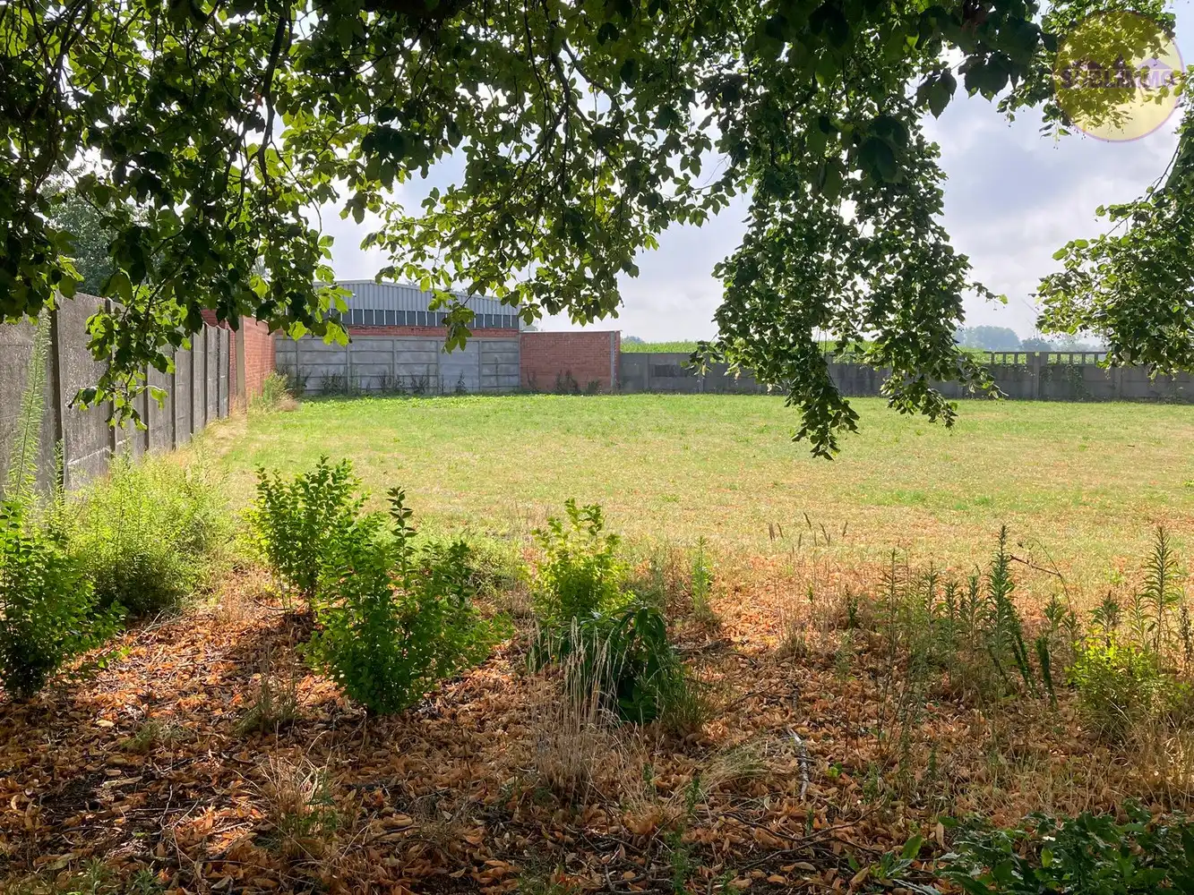 Bouwgrond voor open bebouwing te koop op een perceel van 7a01ca te Meerhout foto 6