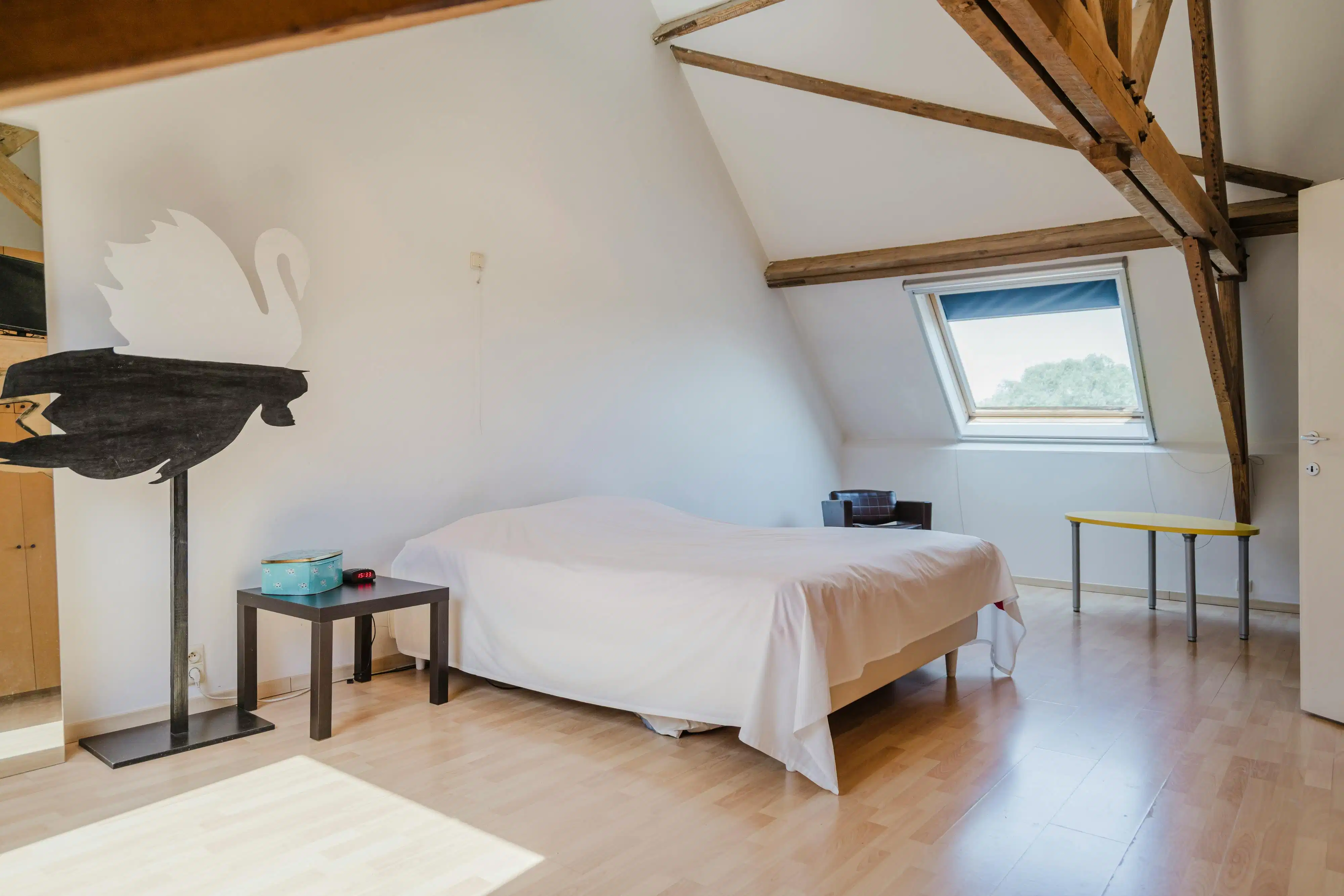 Unieke eigendom met veel mogelijkheden te koop in Olsene foto 25
