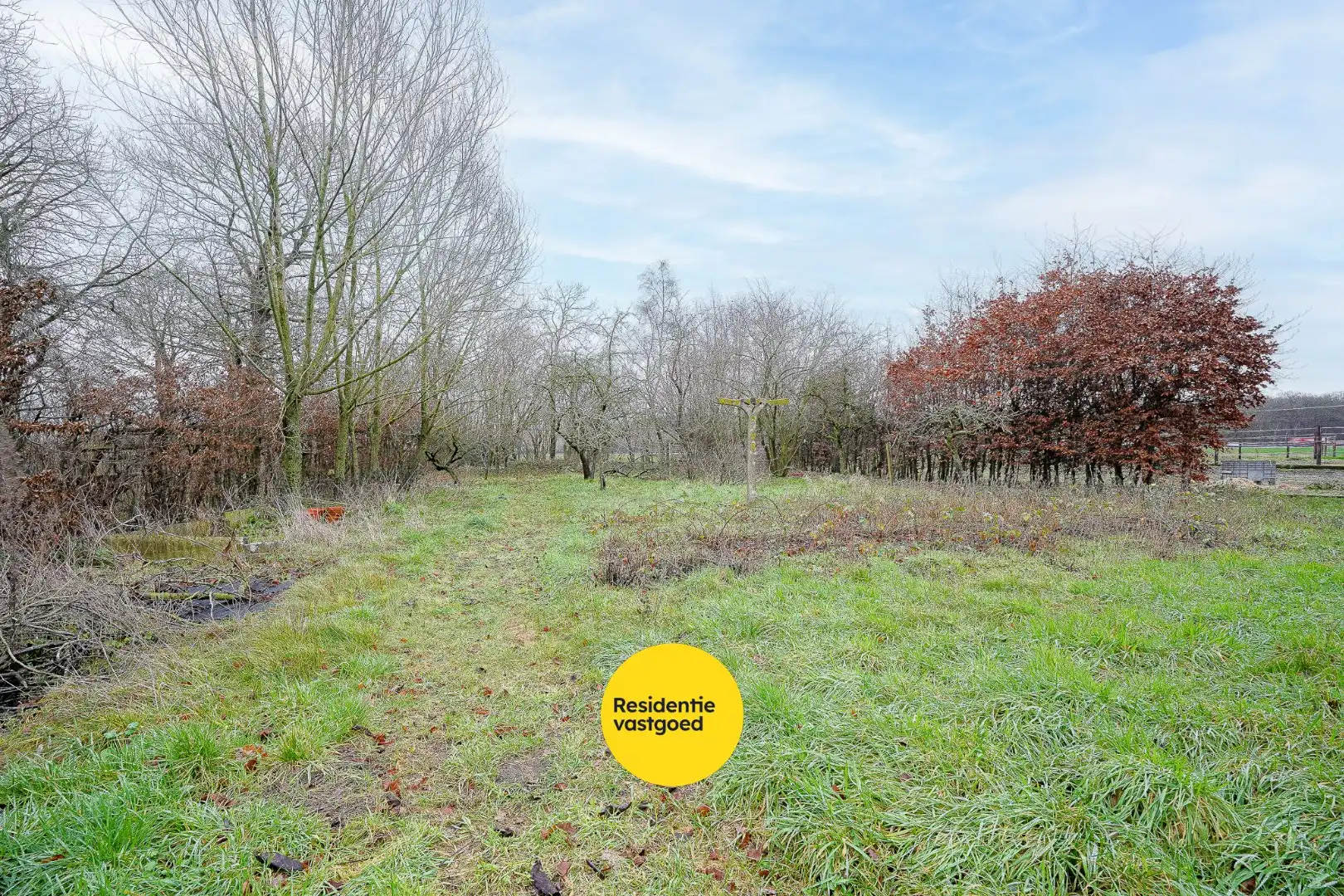 Landelijk gelegen woning op een perceel van 1.361m² foto 9