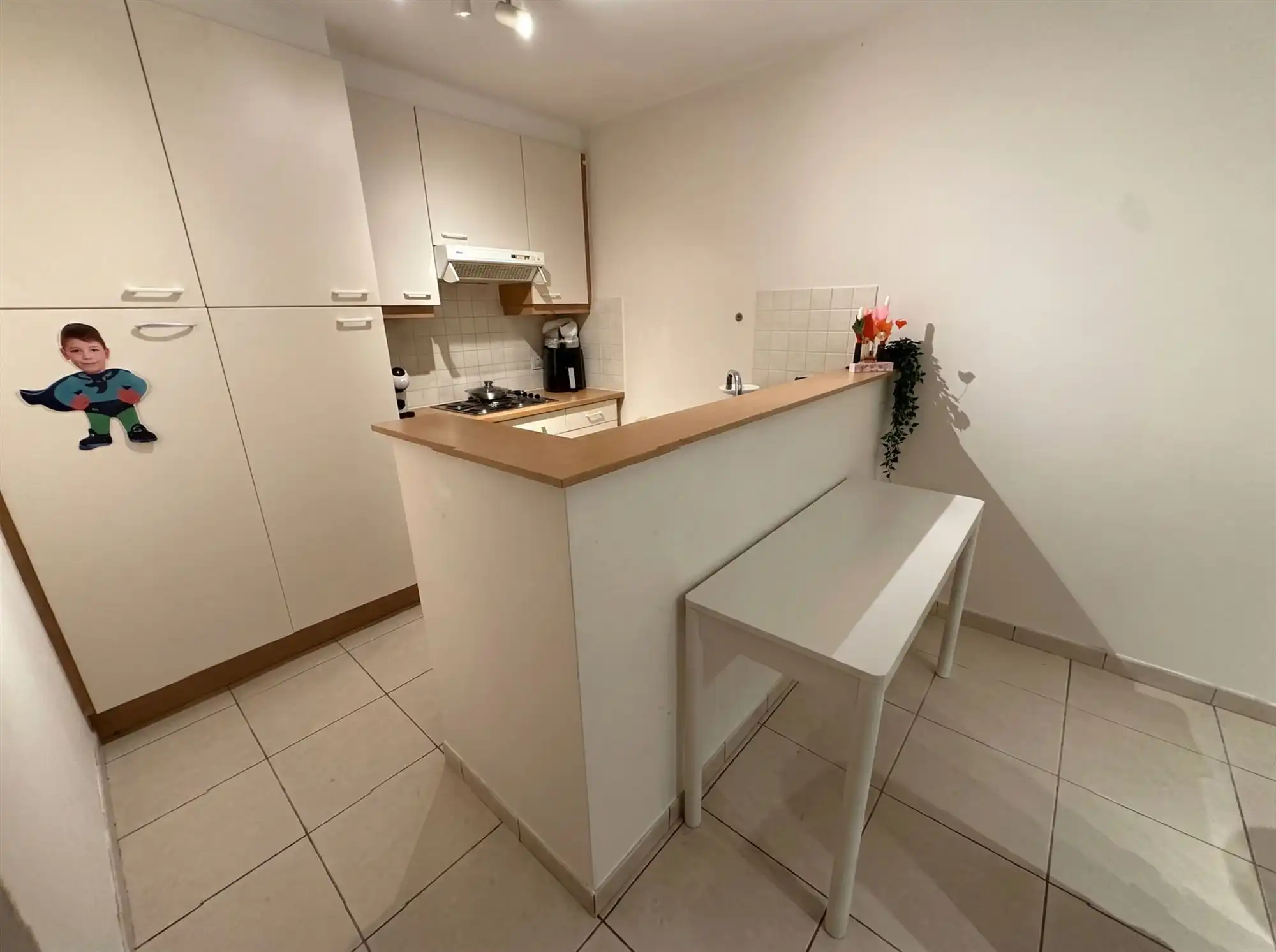 Gelijkvloersappartement met terras foto 3