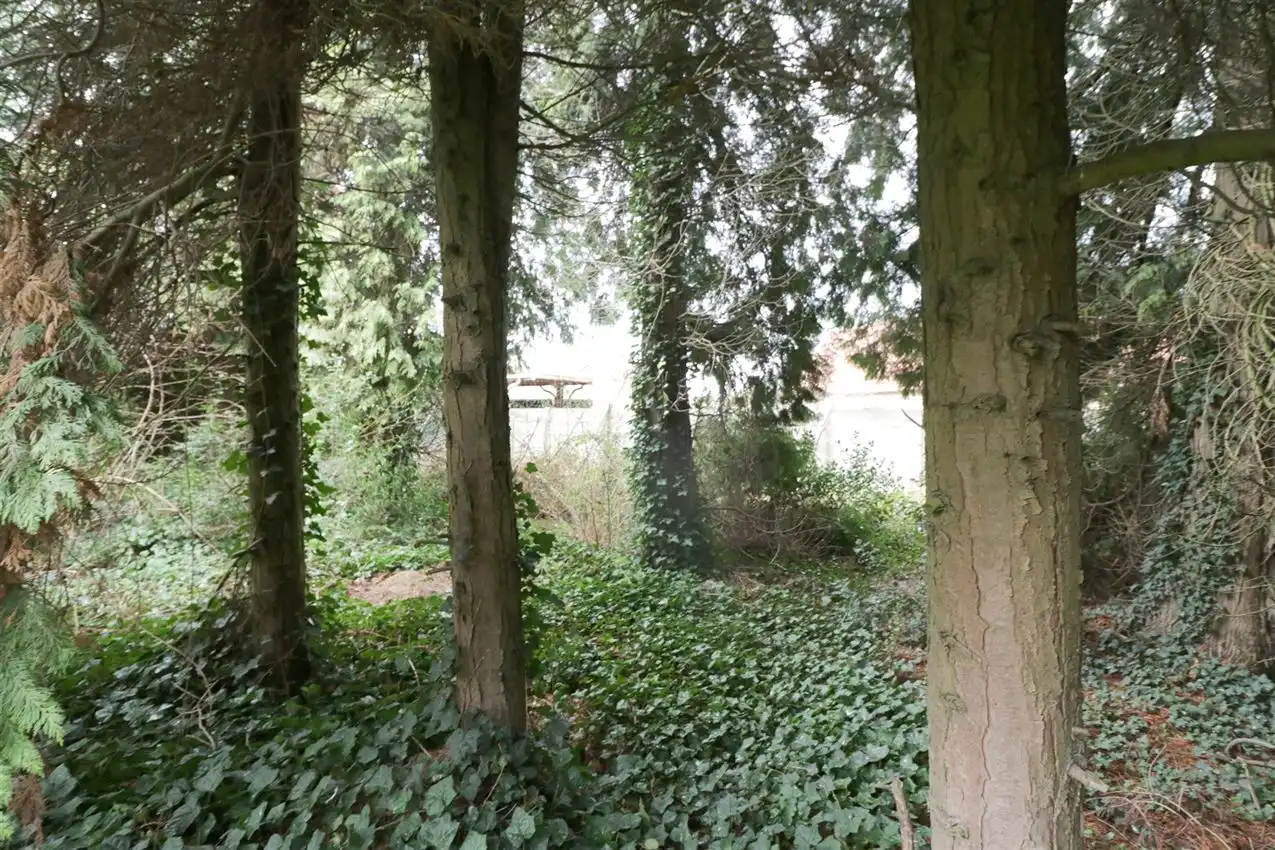 karaktervol, geliefde ligging, 6 slpk, te renoveren foto 5