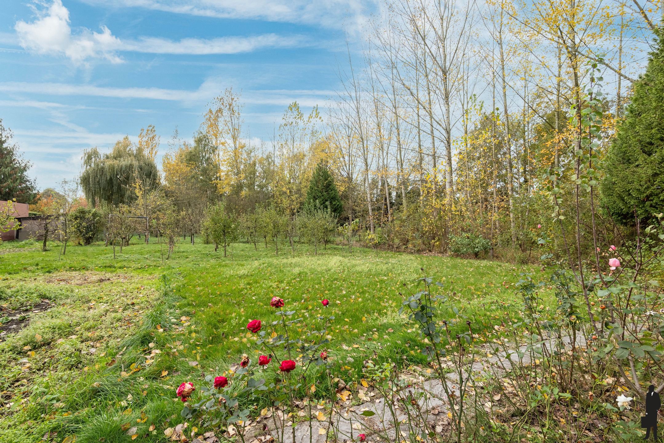 Woning op riant perceel van 8.906m² met vele mogelijkheden foto 27