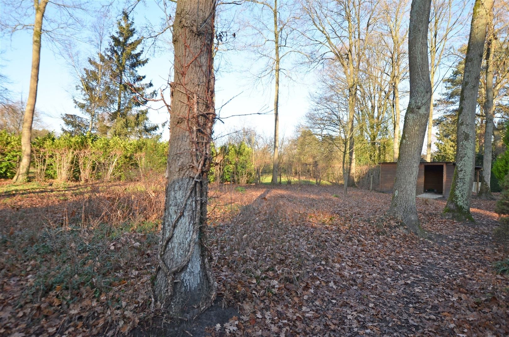 Tijdloze residentiële villa in doodlopende straat foto 30