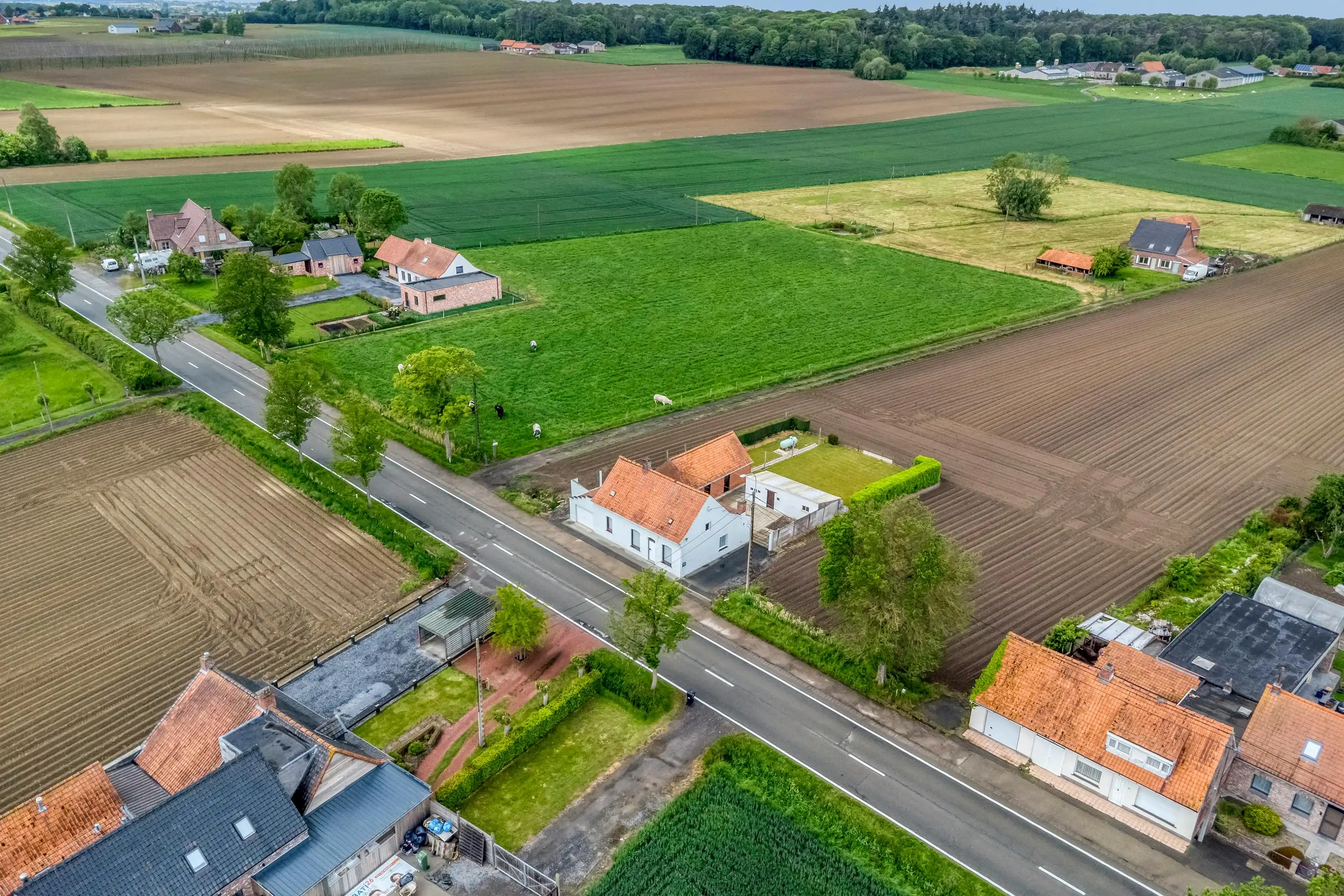 Alleenstaand huis te koop in de Abeelseweg in Poperinge foto 2