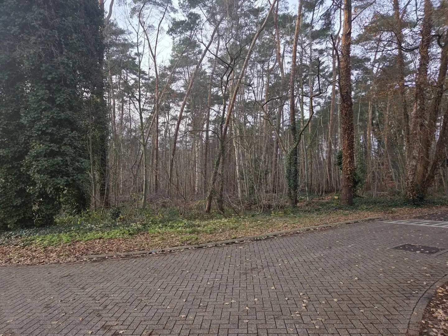 Villaperceel voor open bebouwing op een rustige en residentiële locatie foto 6