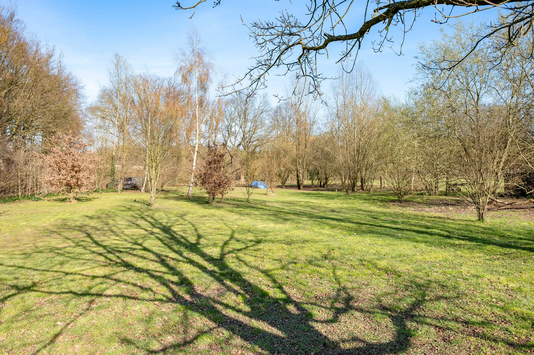 Ruime instapklare woning met zwembad te Brasschaat! foto 28