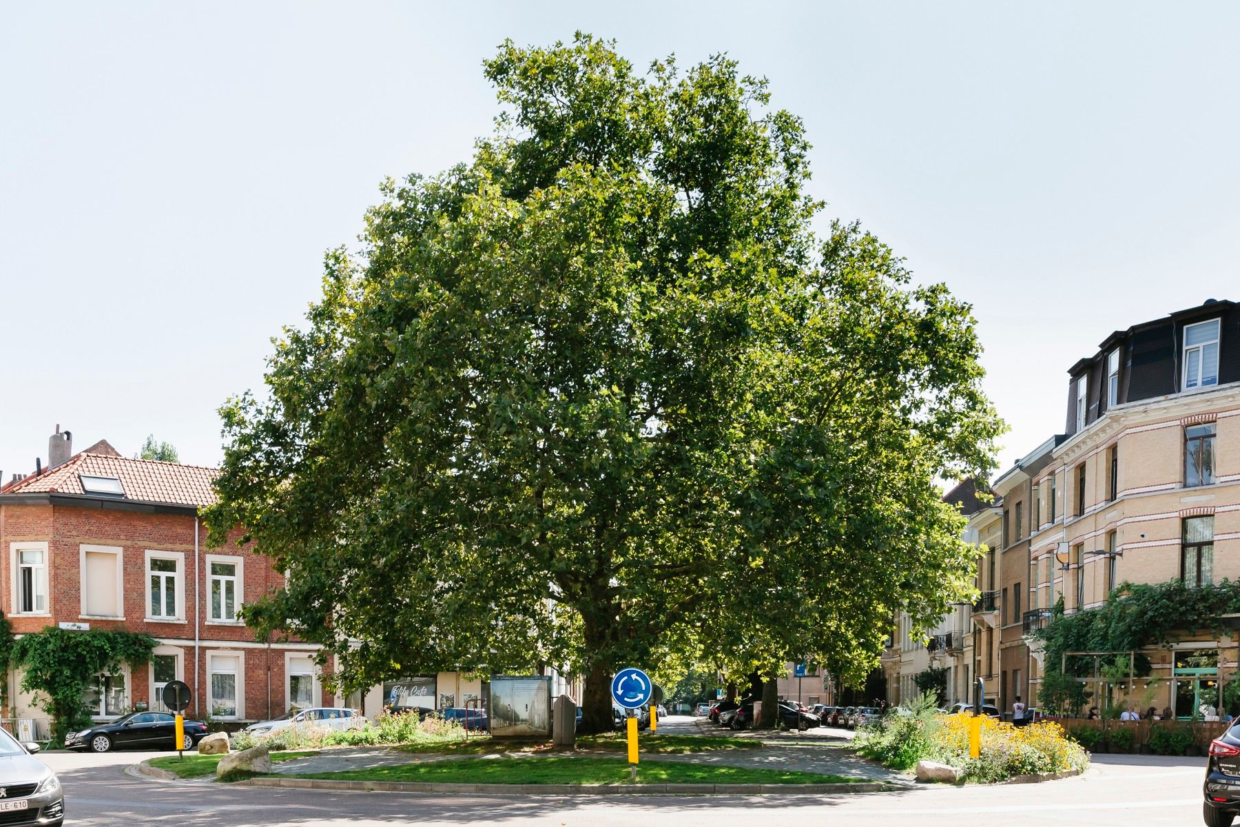 Instapklaar 1slpk appartement met terras foto 9