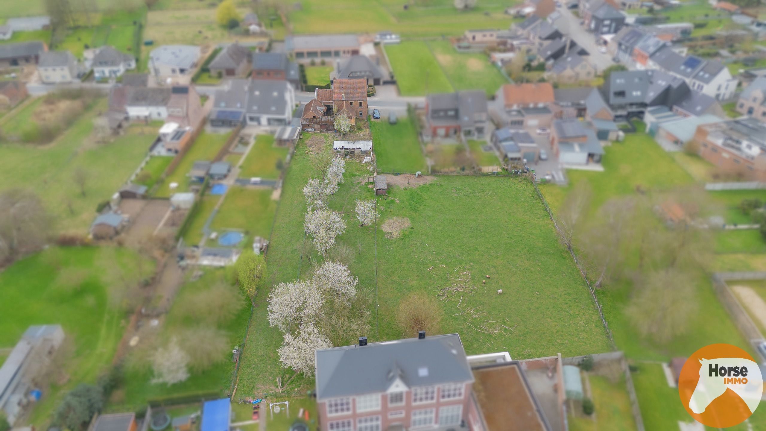 HAALTERT-  Renovatieproject met veel potentieel op 43a 84ca! foto 23