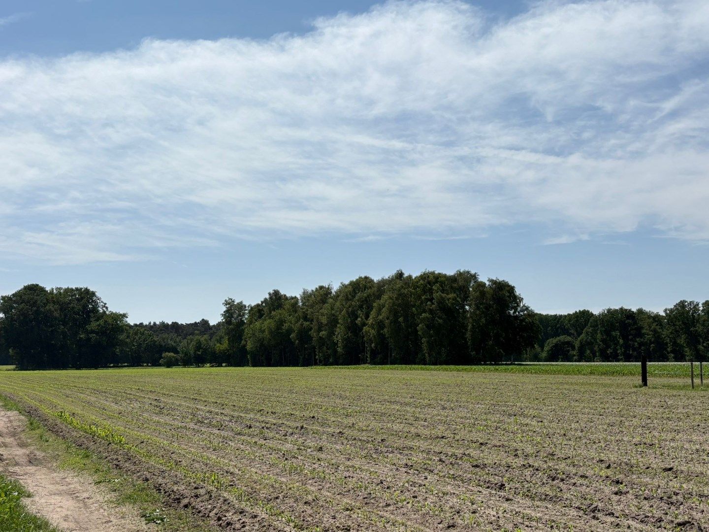 Mooi perceel weiland van 3.320 m², gelegen in Bel !  foto 2