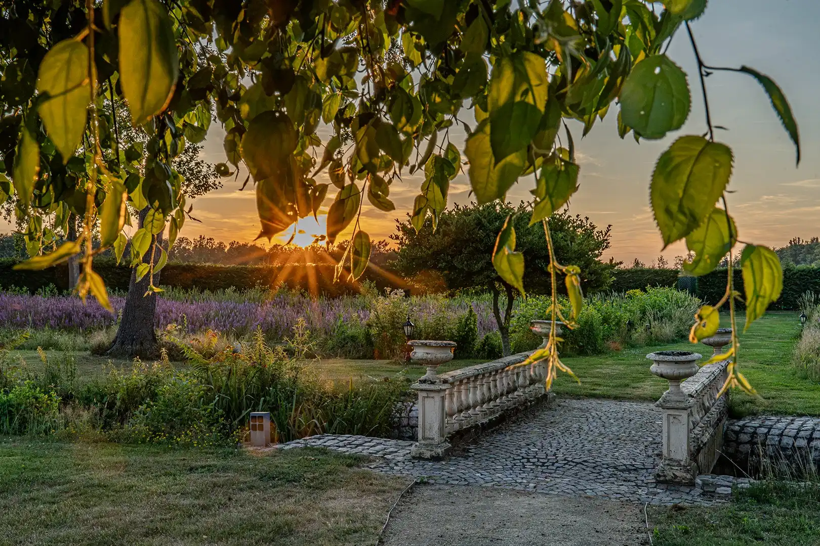 Exclusief landgoed op ± 2 hectare, grenzend aan natuurgebied De Wijers foto 5