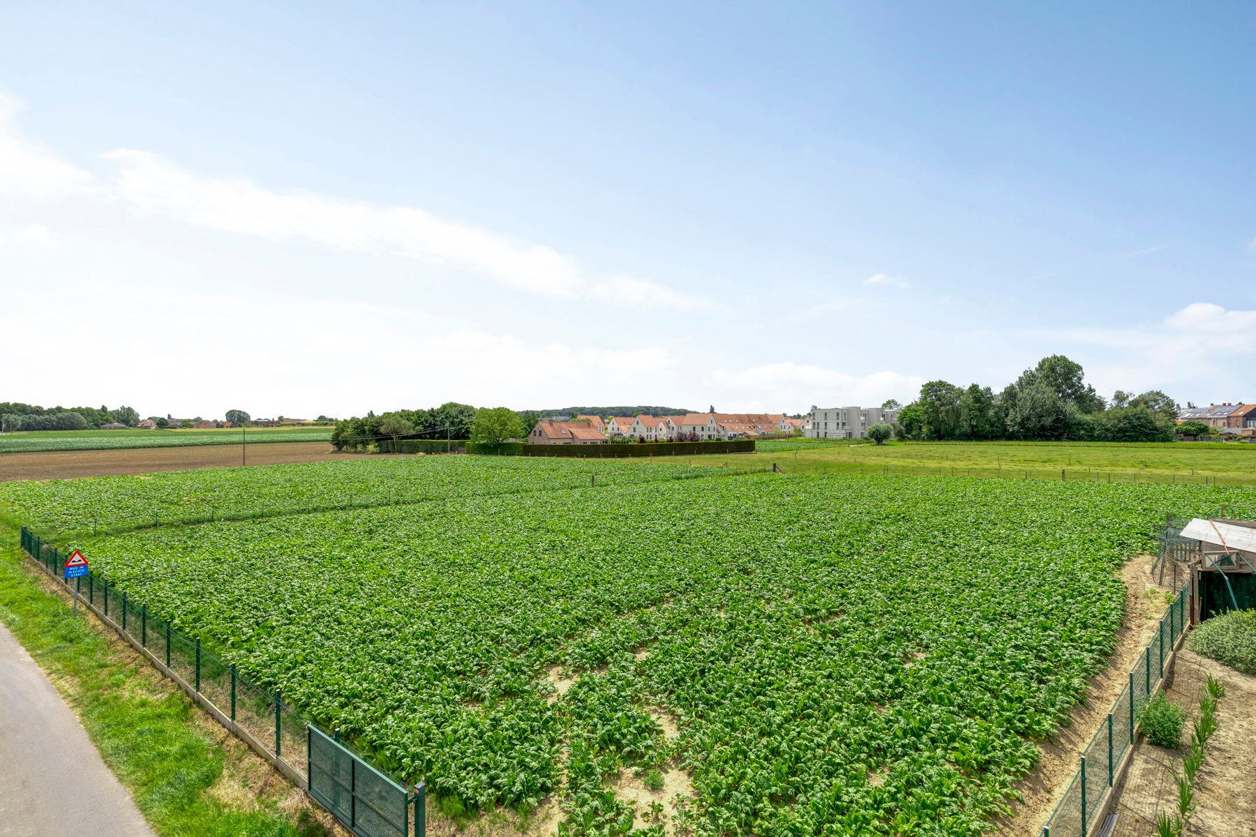 Rustig gelegen woning op 5.913m² !!!! foto 24