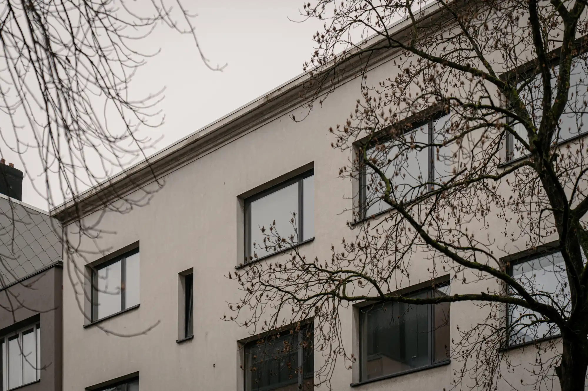 De Kers op de Taart: licht en rust op de hoek van ’t Zuid en Sint-Andries foto 19