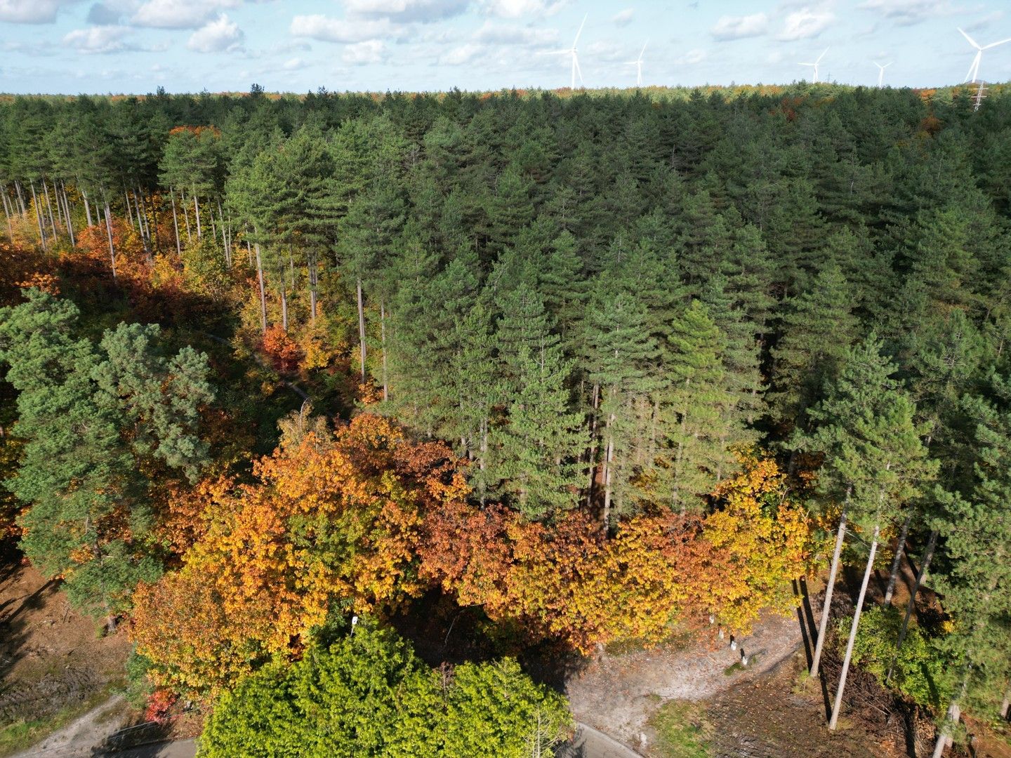 Bouwgrond (HOB) van 7a13ca vlakbij natuurgebied De Schemmersberg foto 6