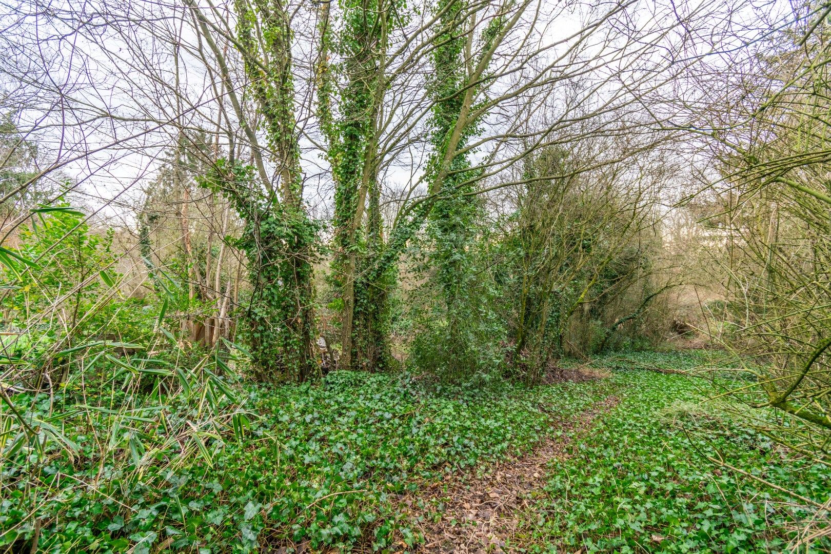 KARAKTERWONING MET MOGELIJKHEID TOT 5 SLP ! foto 18