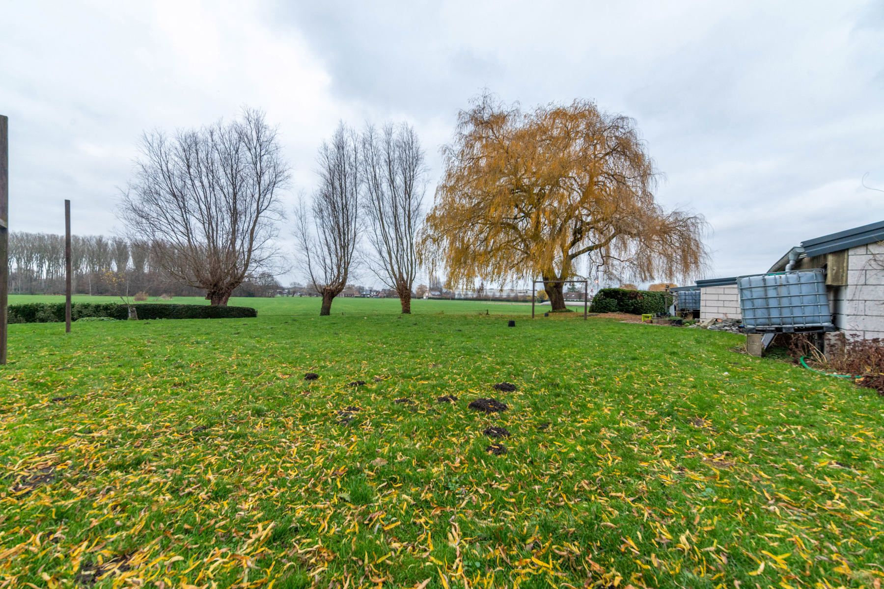 Landelijke woning met zicht op groen te Schelle. foto 9