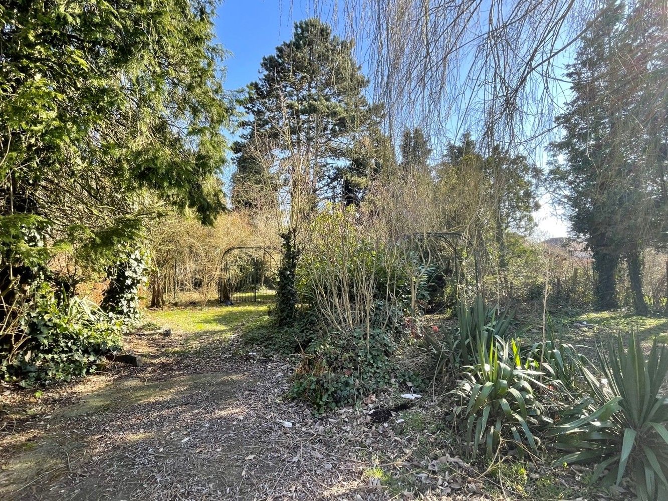 Ruime, te renoveren woning met veel potentieel op 10a14ca foto 24