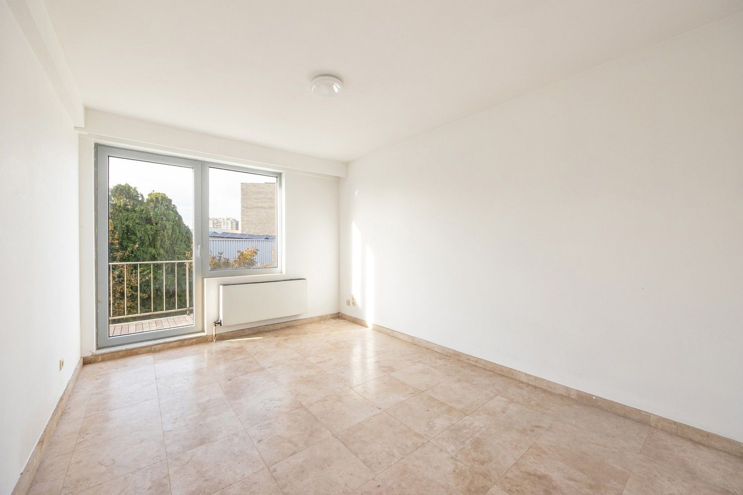 Ruim en lichtrijk appartement met terras en zicht op Boelaerpark foto 6