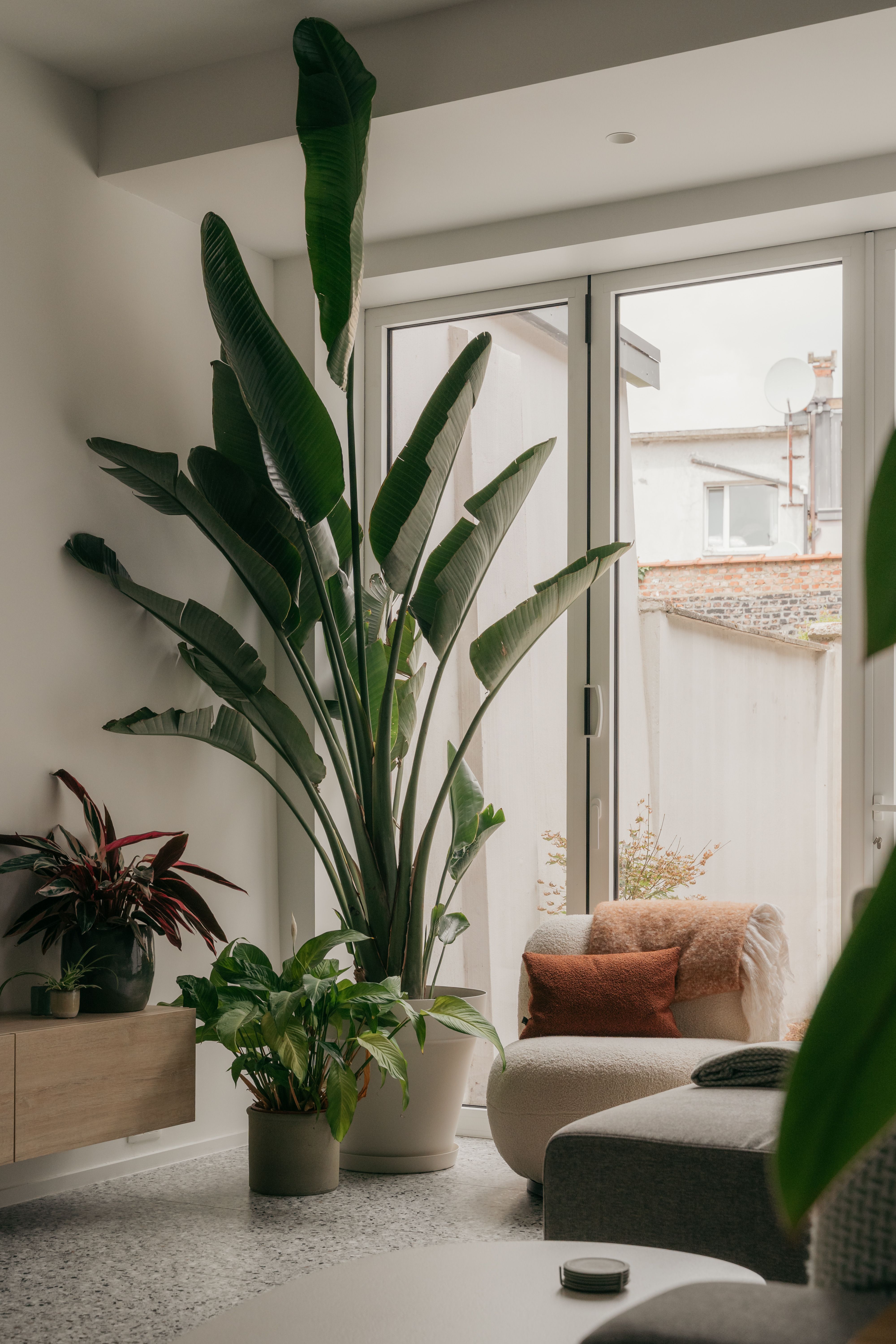 Back to SCHOOL(STRAAT): gerenoveerde woning met 3 slaapkamers, tuin en garage. foto 4