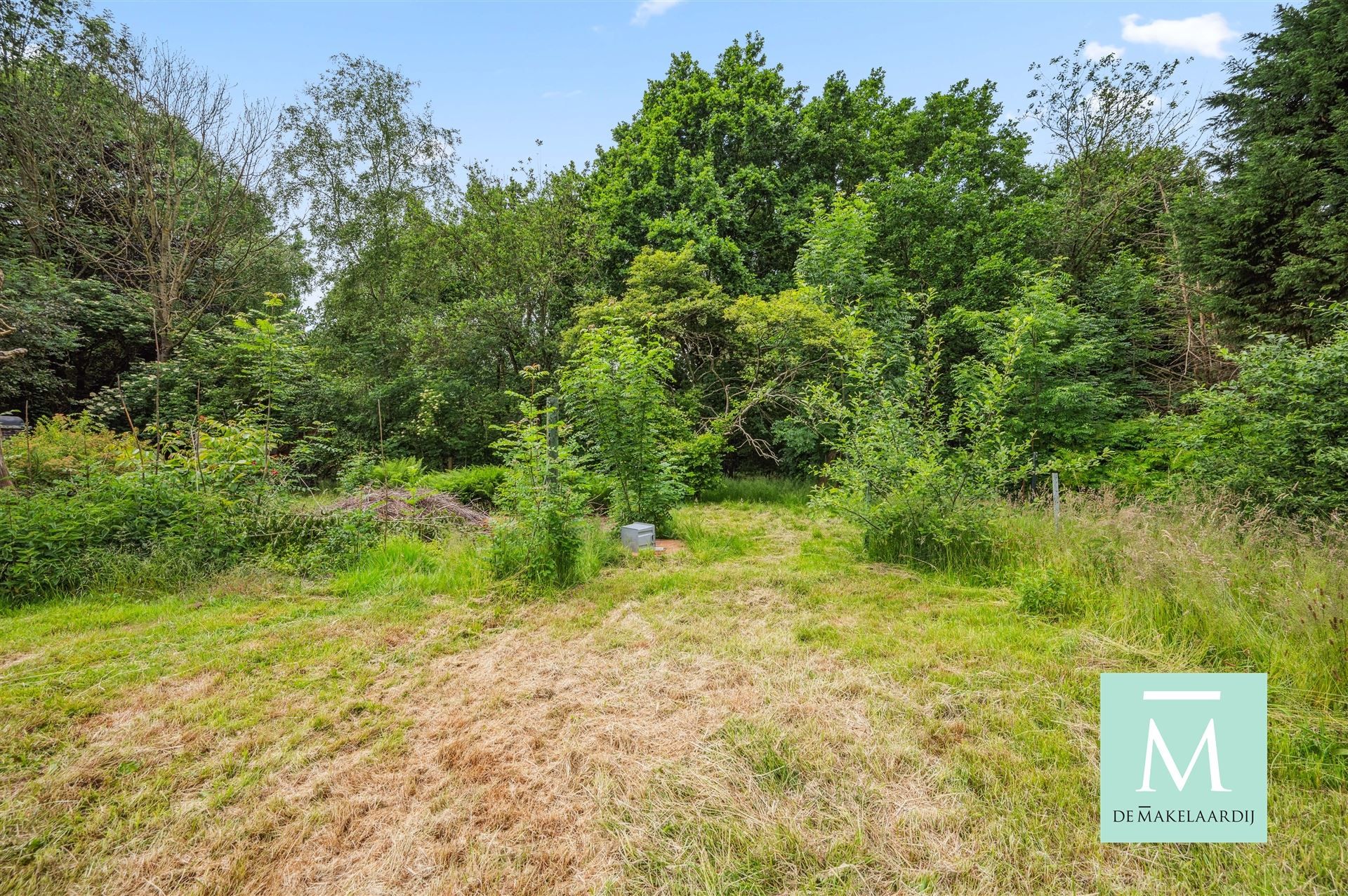 Te renoveren villa op een zeer uitgestrekt perceel van bijna 20 are foto 27