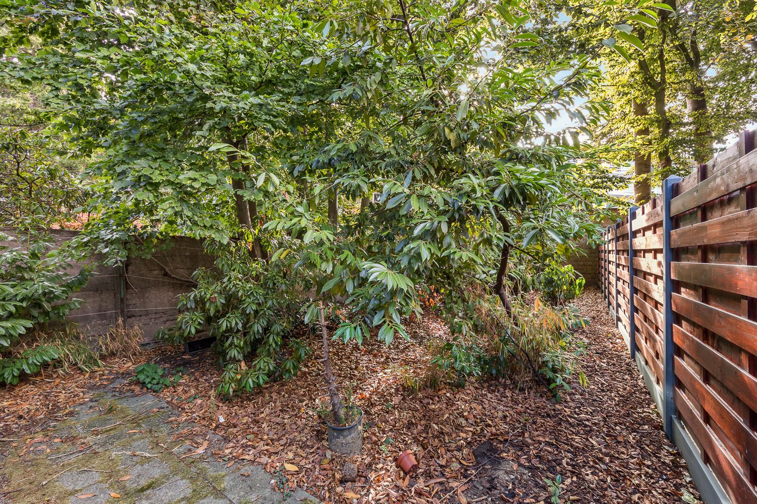 Riante seventies dokterswoning met terras en tuin op gegeerde locatie foto 13