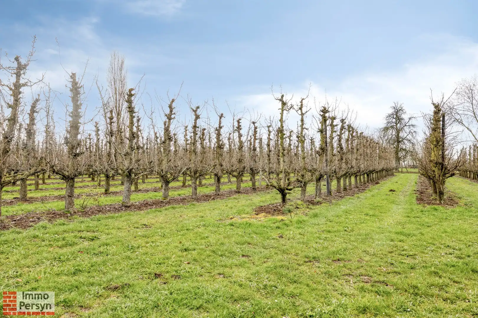 Vrijstaande woning met werkplaats op ruim perceel in landelijke omgeving foto 43