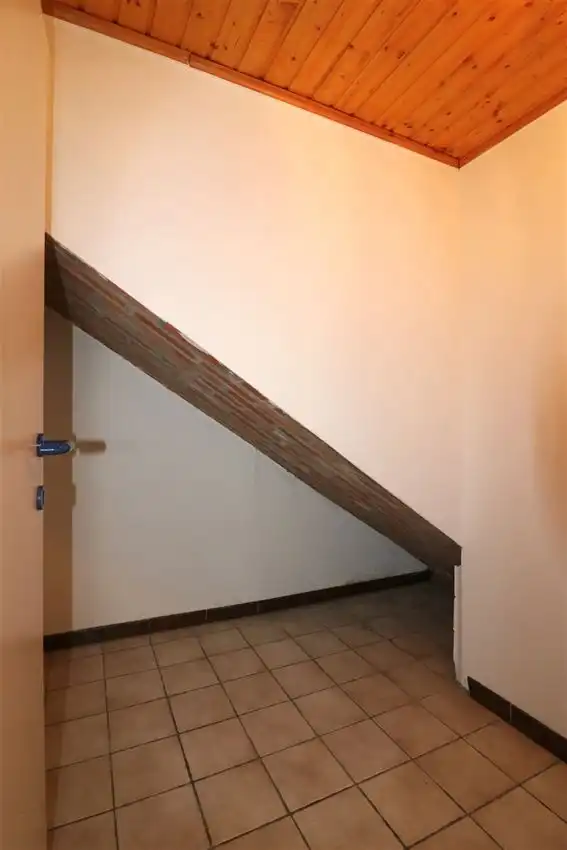 charmant, ruim, mogelijkheid beroep of kangoeroe foto 35