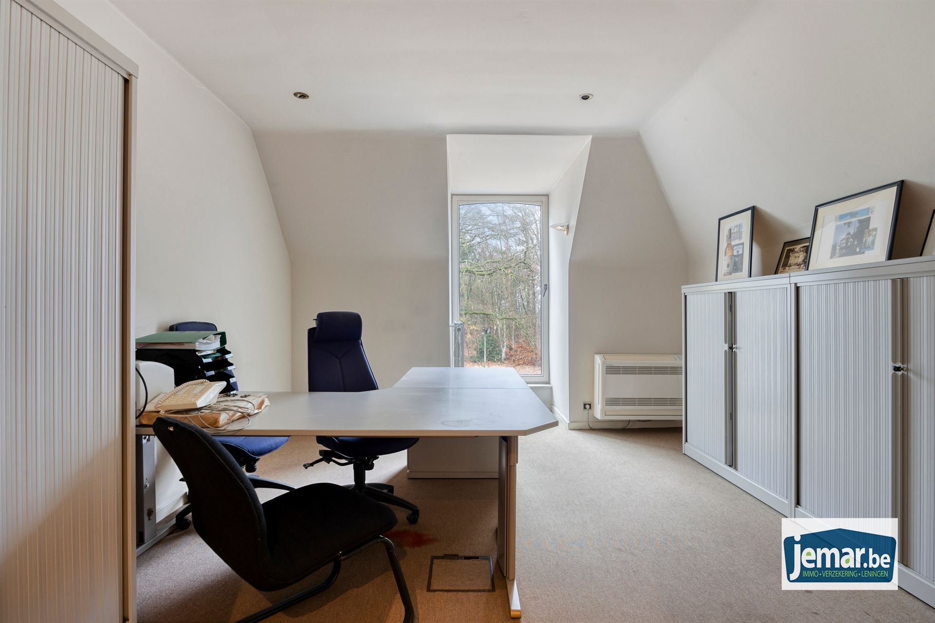 Villa met professionele opslagruimte, kelder en kantoorruimtes. foto 38