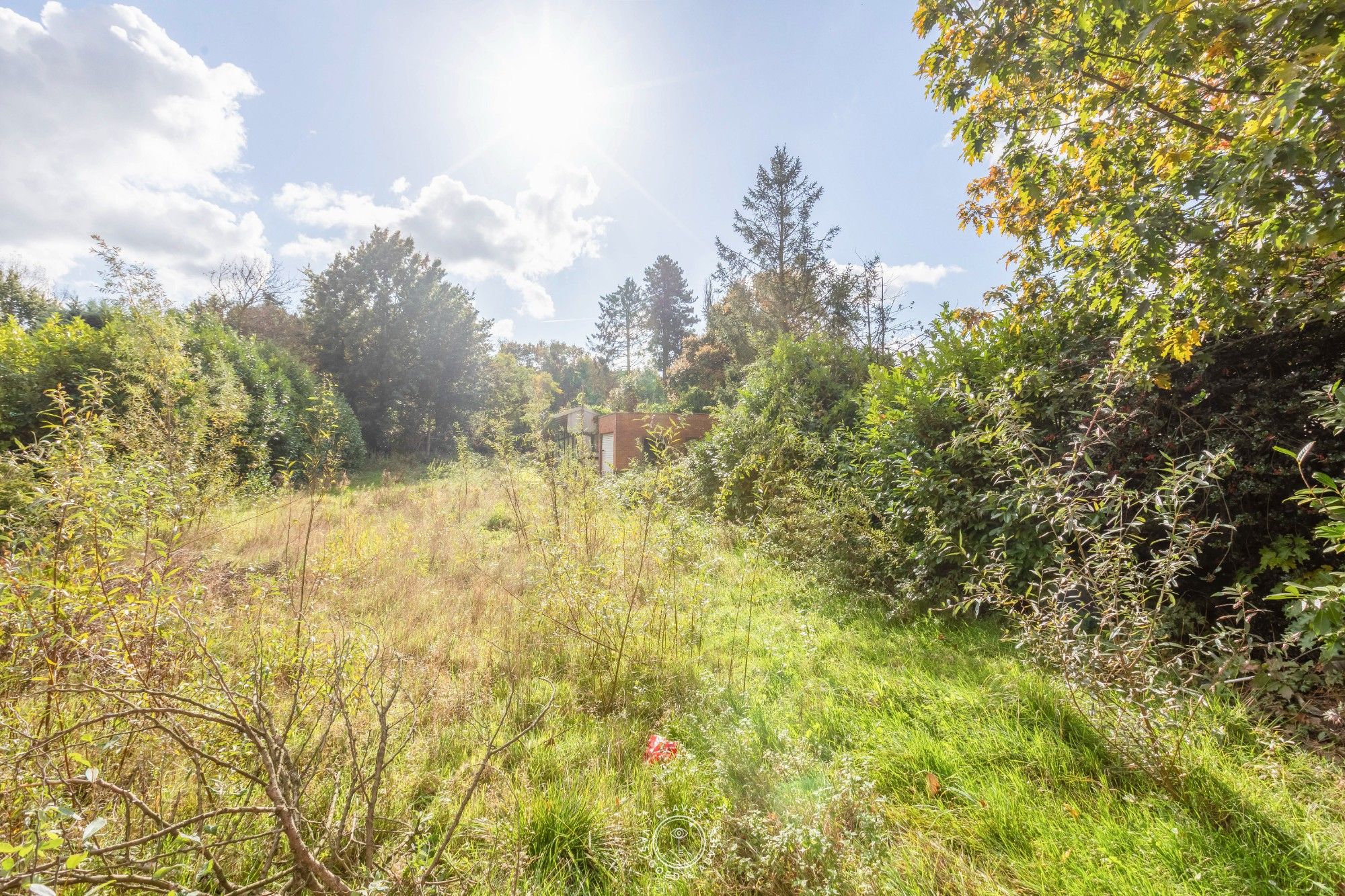 Bouwgronden in het pittoreske Puivelde met achterliggend bos foto 5