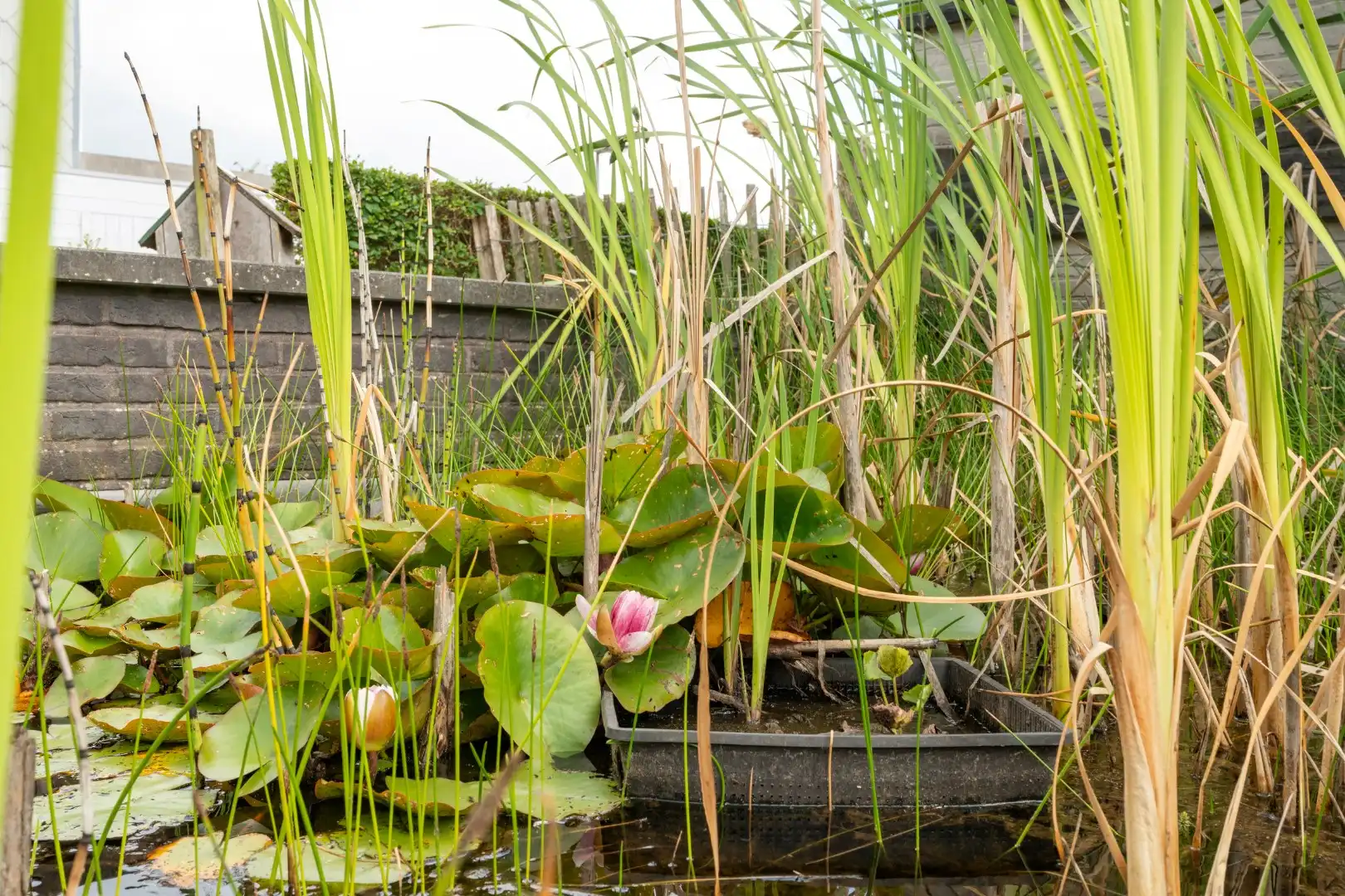 Instapklaar éénslaapkamerappartement vlak bij zee foto 16
