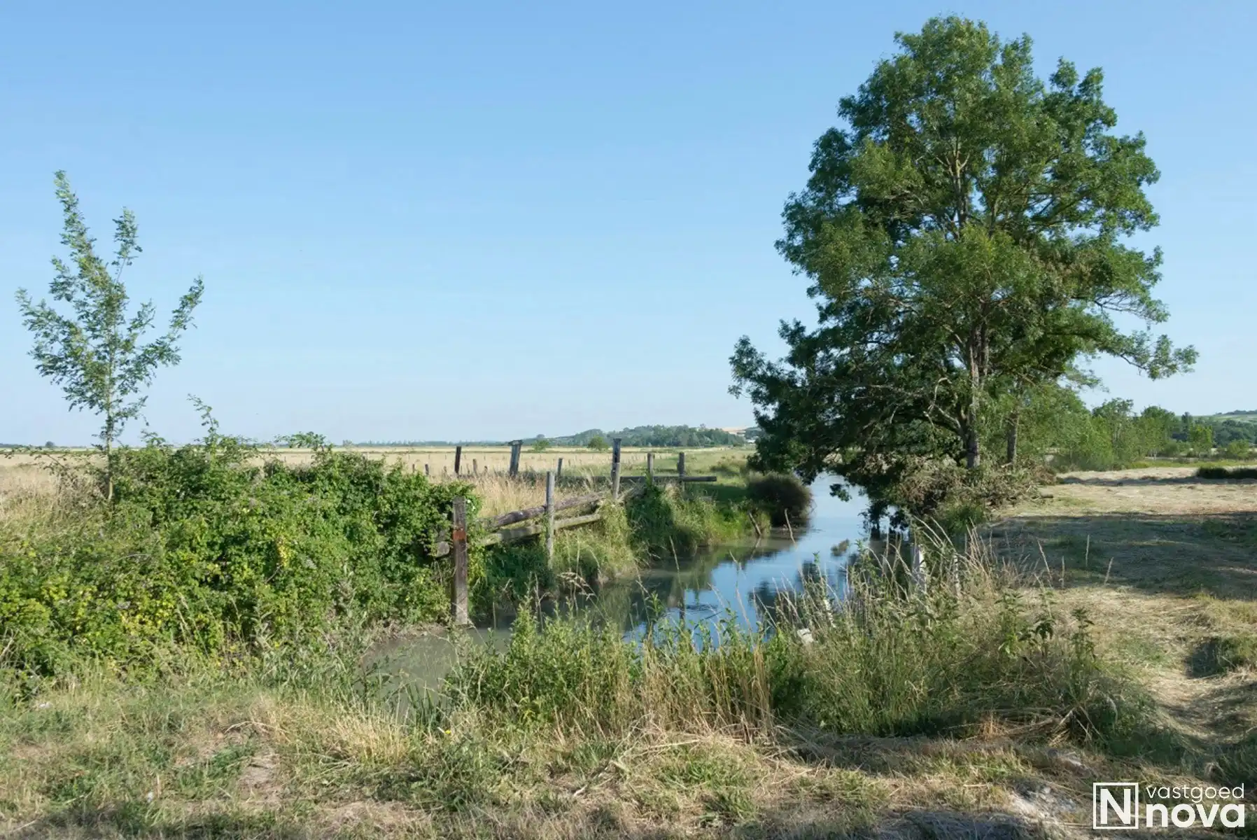 Leven als god in de Franse natuur. foto 37