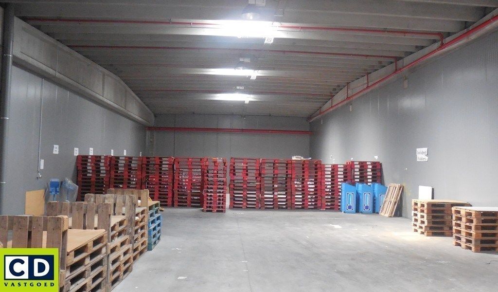 Magazijn te huur in GRUPO Bedrijvencentrum in Lokeren foto 4