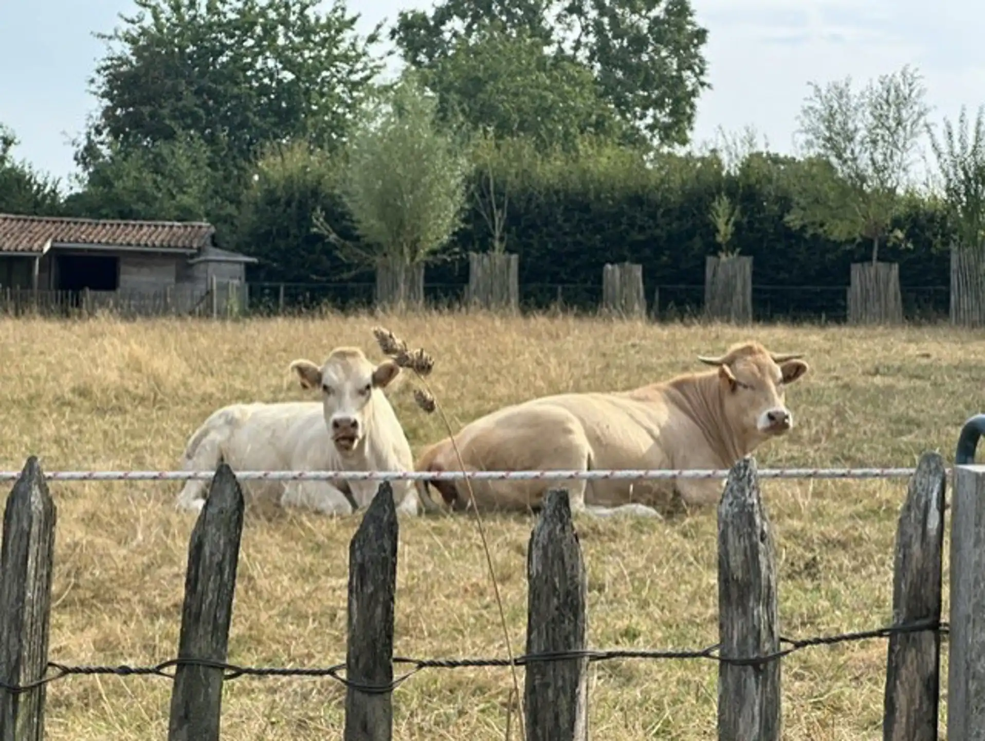 Karaktervol gerenoveerde hoeve/alle comfort/1ha28a - korte afstand Brussel foto 32