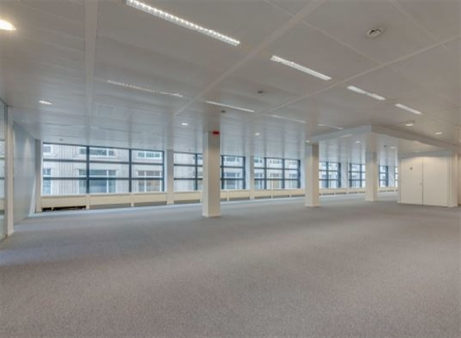 BRABANT BUILDING: vanaf 460m² foto 3