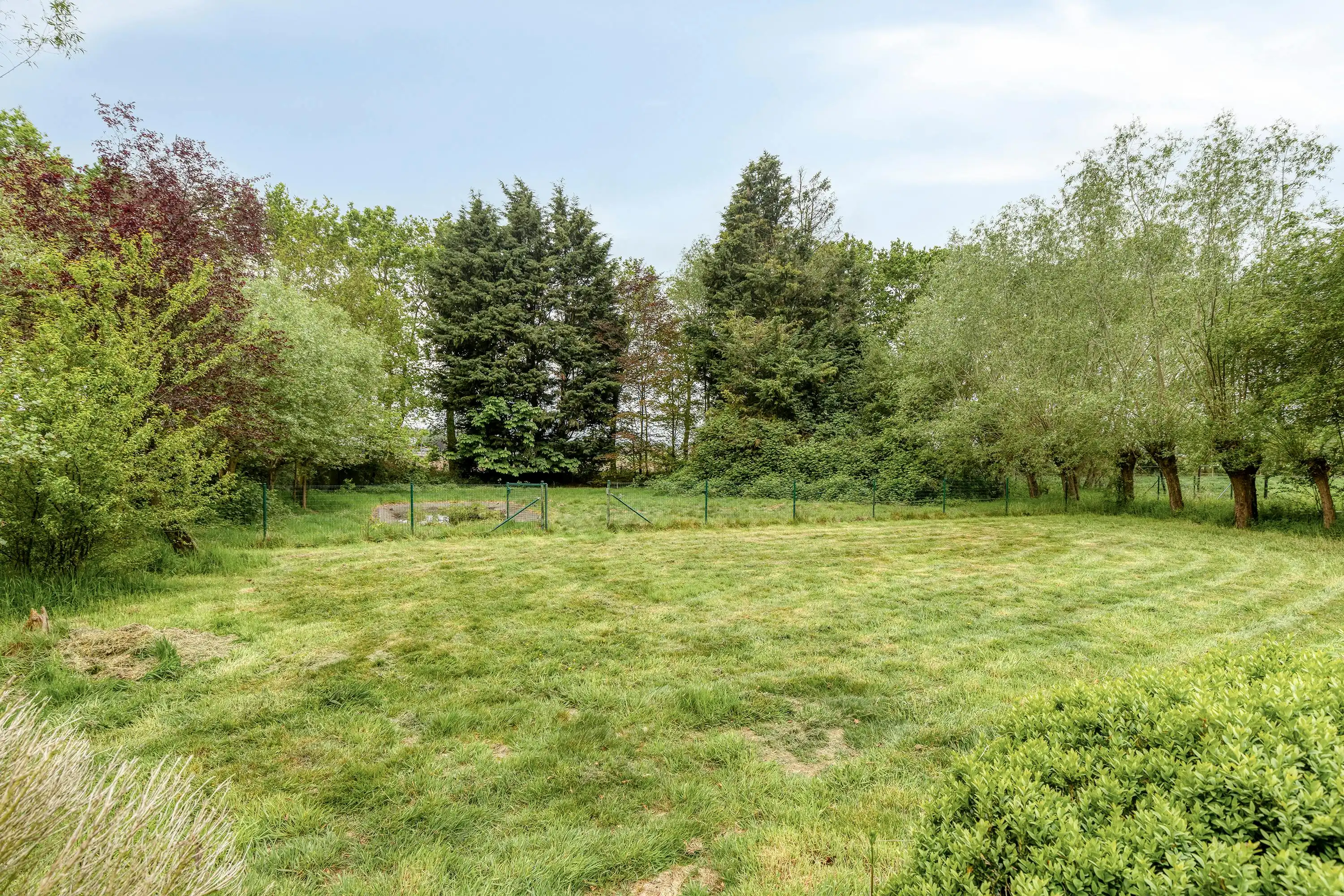 Uitzonderlijk gelegen huis (14.953m²) langs Haantjesveld te Maldegem foto 8