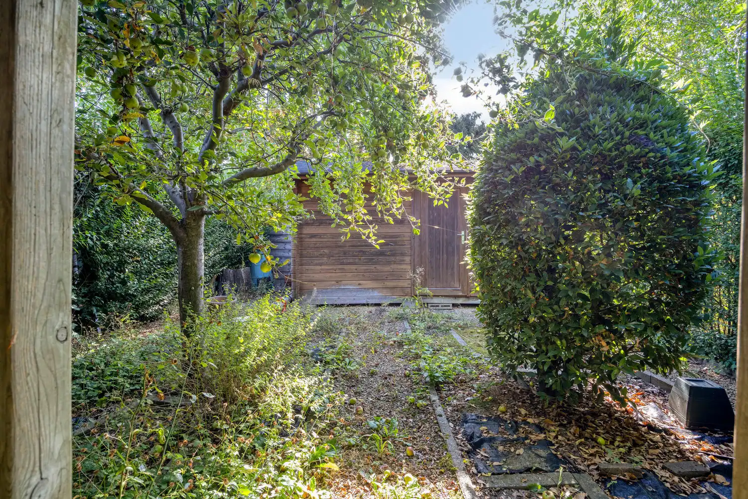 Cottagewoning in de 'Unitaswijk', 3 slks en mooie tuin! foto 29