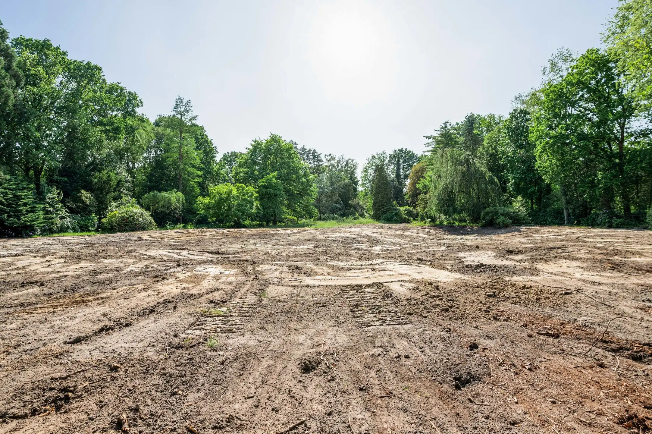 Exclusieve bouwgrond in één van de mooiste lanen van Schilde foto 8