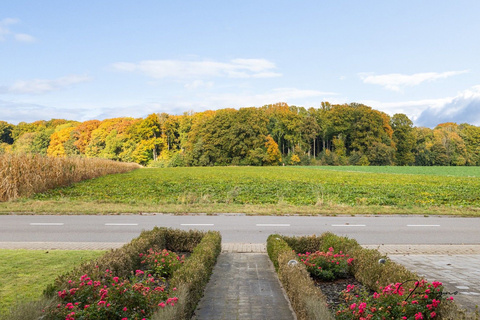 Exclusieve architecturale villa te koop – uitzonderlijk rustig gelegen te Everberg (Kortenberg) foto 4