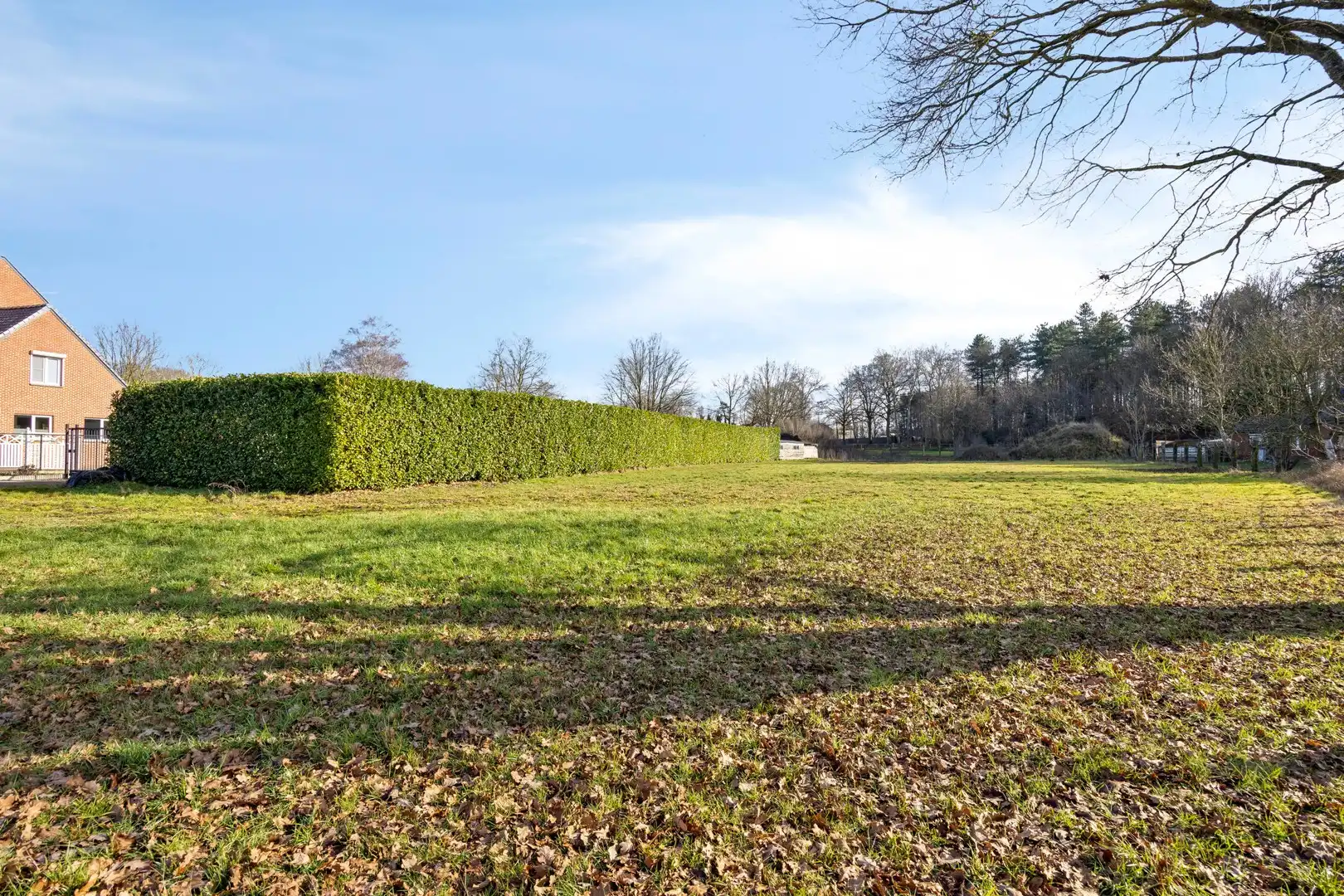 Gezinswoning op perceel van 67a 89ca te koop in Meerhout foto 32