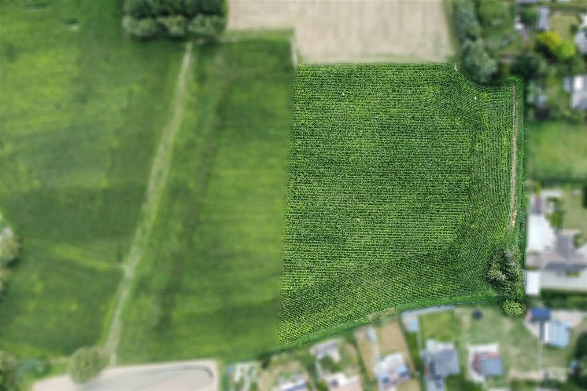 Gunstig gelegen landbouwgrond op een perceel van 1ha 23a. foto 3