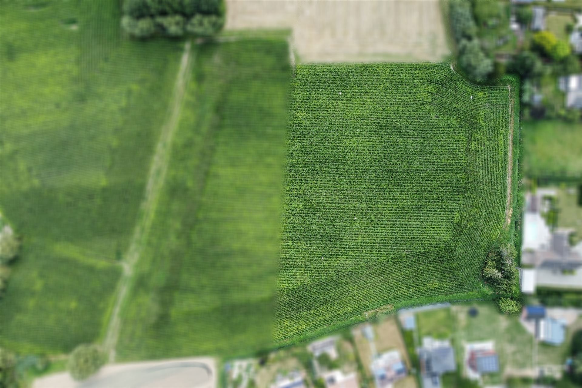 Gunstig gelegen landbouwgrond op een perceel van 1ha 23a. foto 3
