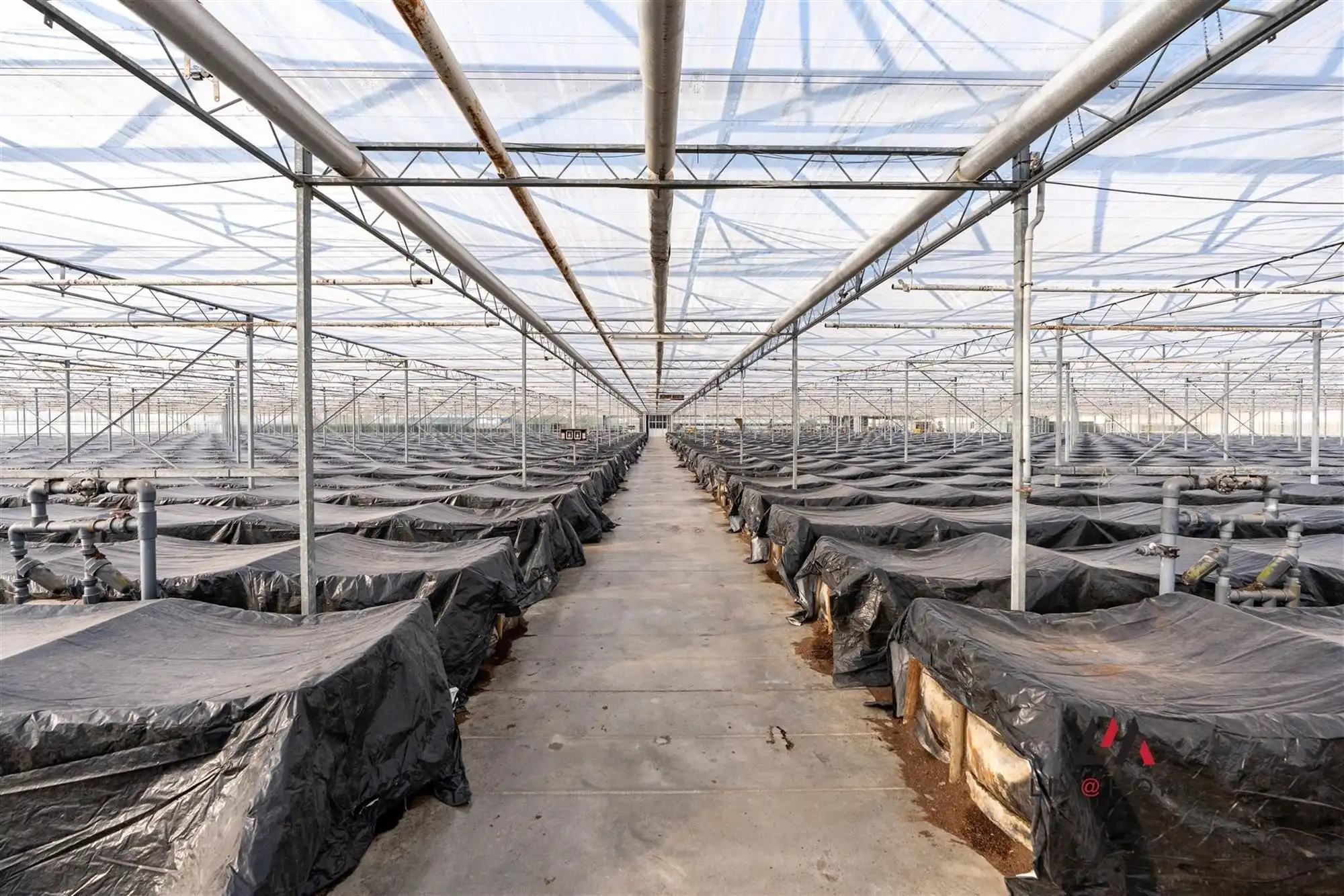 Moderne landbouwwoning met serre en loods op 10 ha foto 29