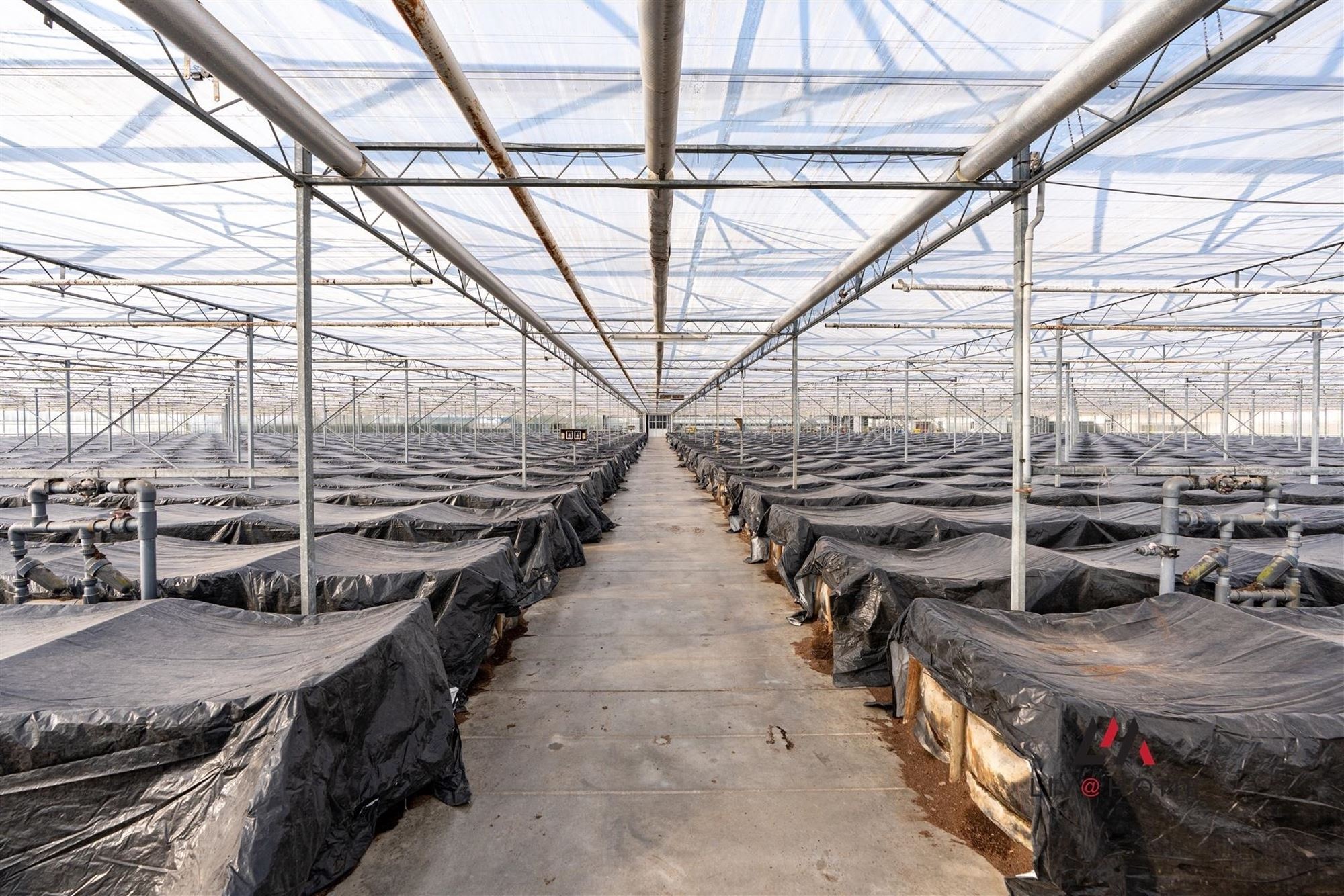 Moderne landbouwwoning met serre en loods op 10 ha foto 29