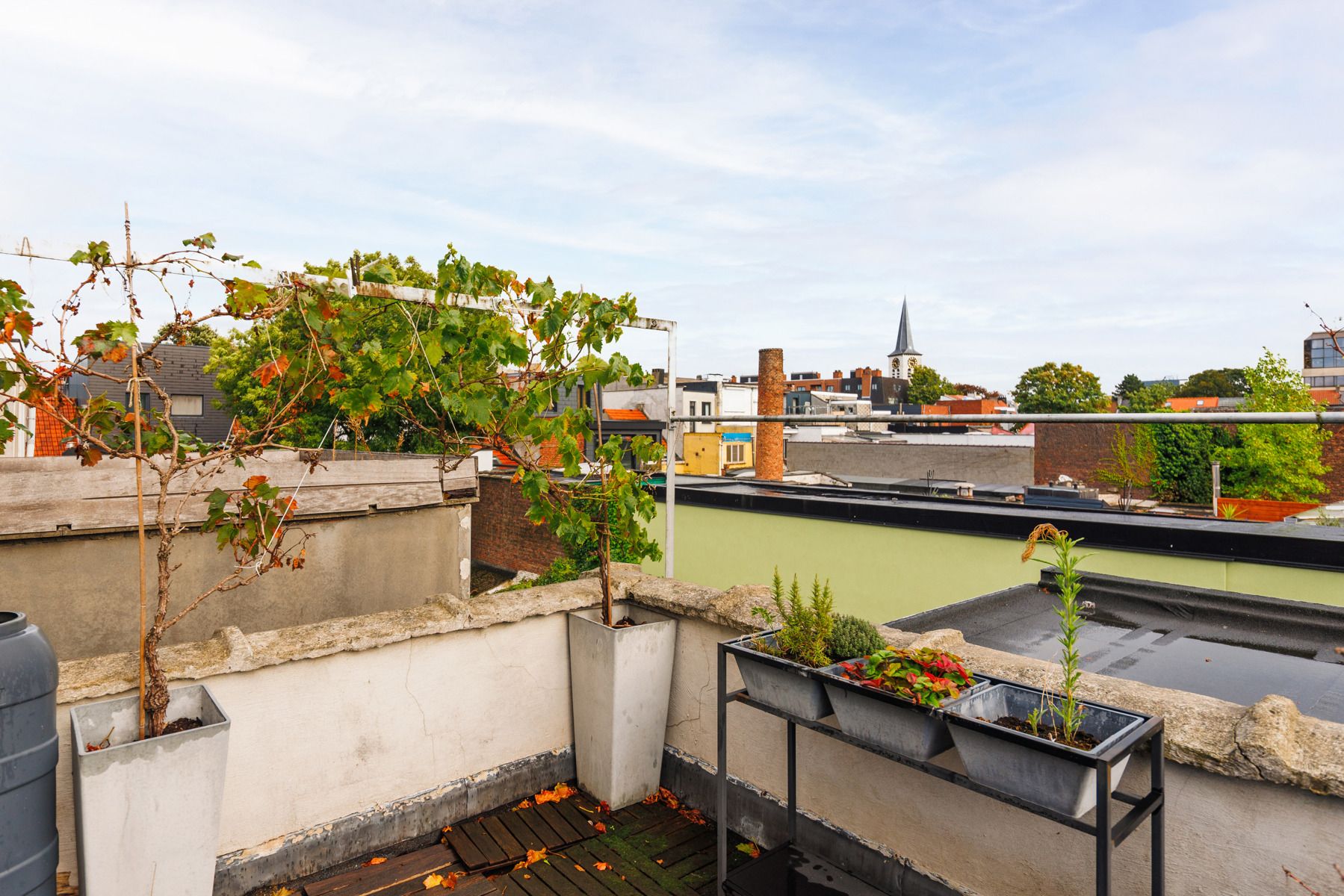 Berchem op z’n best: authentiek huis, bruisende buurt foto 17