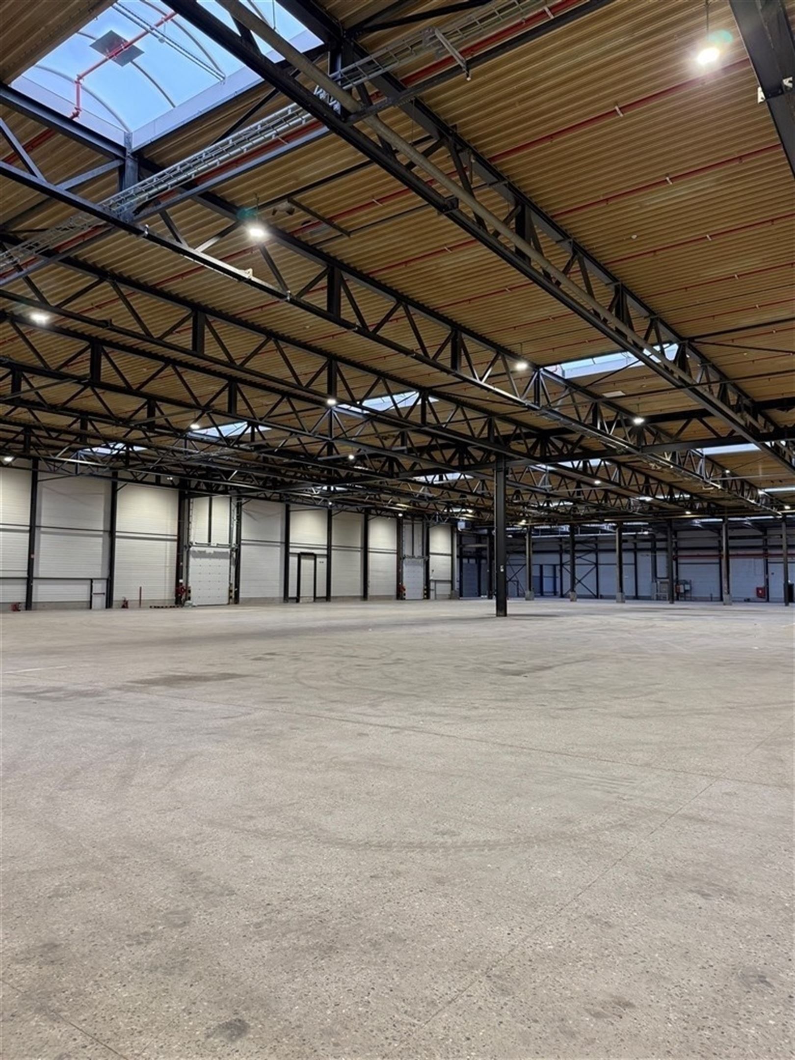 Goed gelezen magazijnen te Genk foto 5