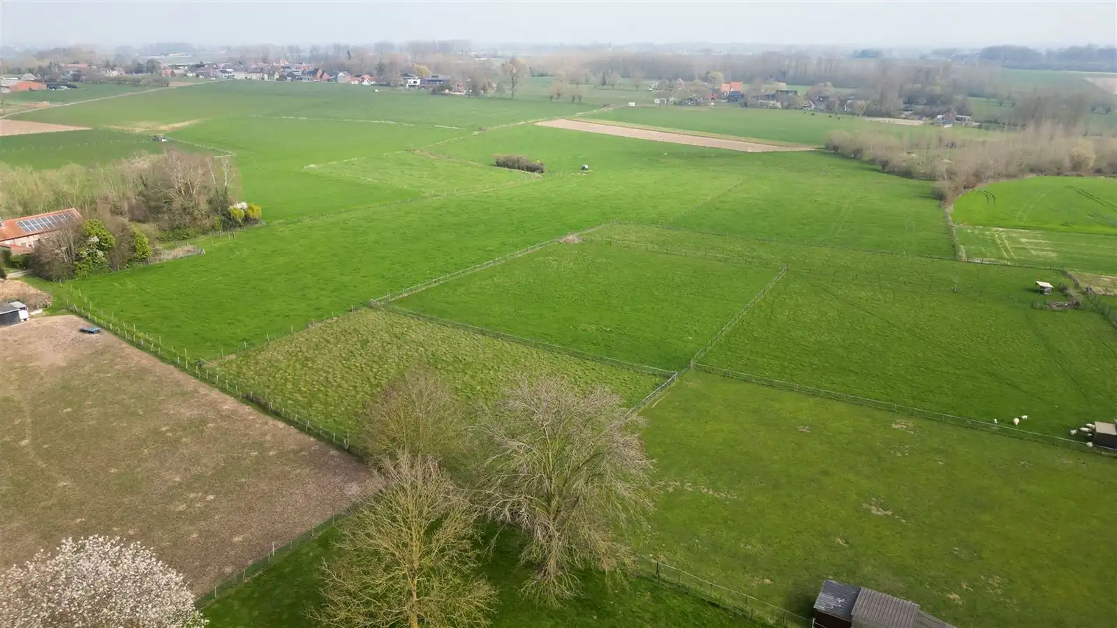 Charmante hoeve in Sint-Antelinks foto 2